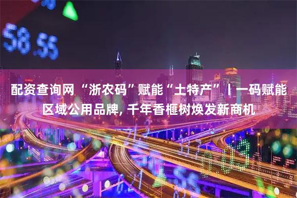 配资查询网 “浙农码”赋能“土特产”丨一码赋能区域公用品牌, 千年香榧树焕发新商机